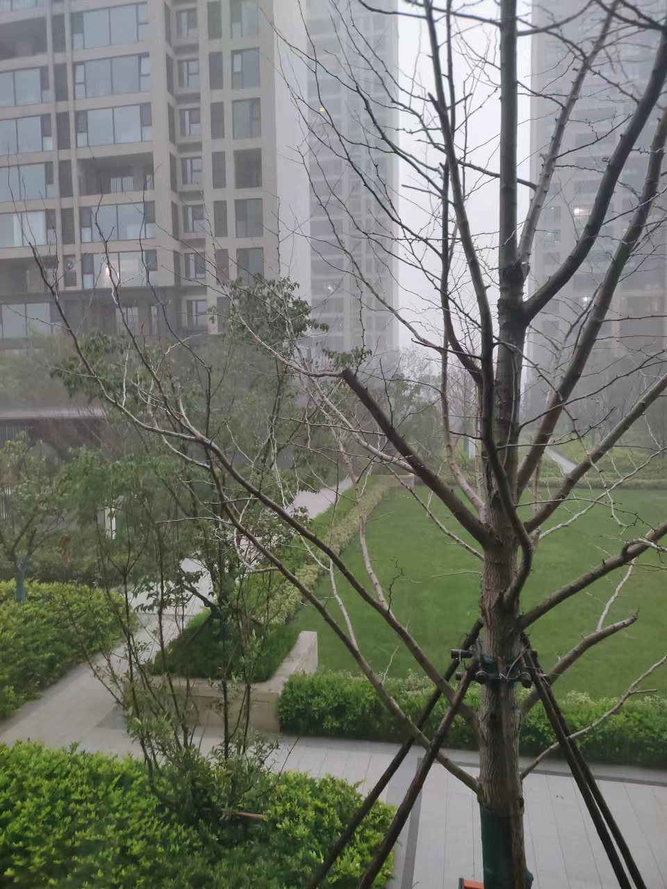 第六届爱情诗文大赛，11级