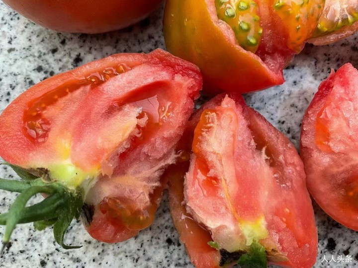 草莓铁皮西红柿：自然种植，不打农药，无激素，施农家肥，自然成熟。
