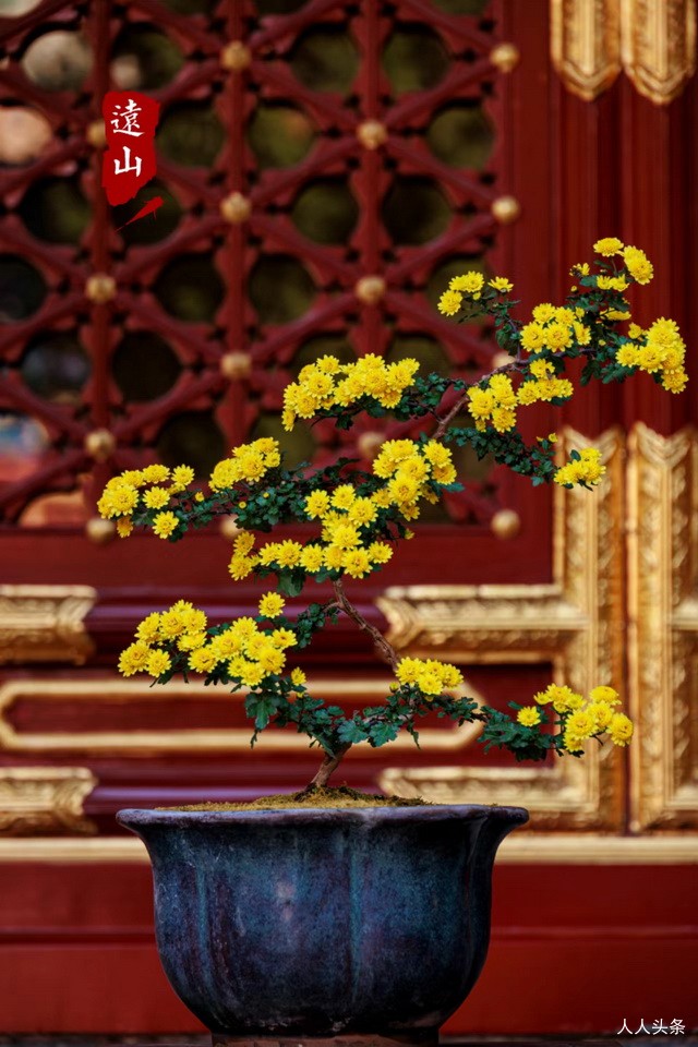 新闻简报：2022年11月16日，农历壬寅年十月廿三，星期三