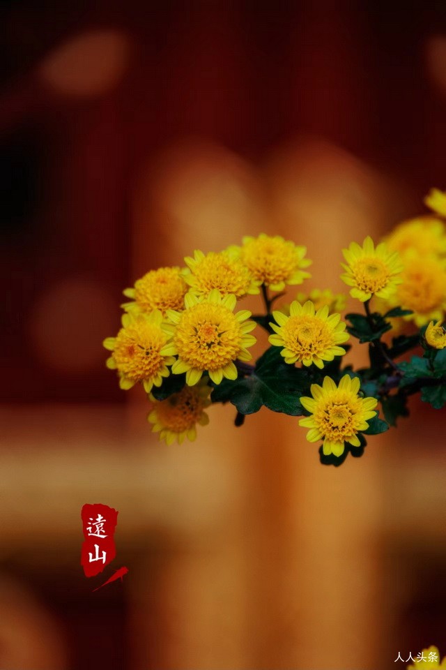 新闻简报：2022年11月16日，农历壬寅年十月廿三，星期三