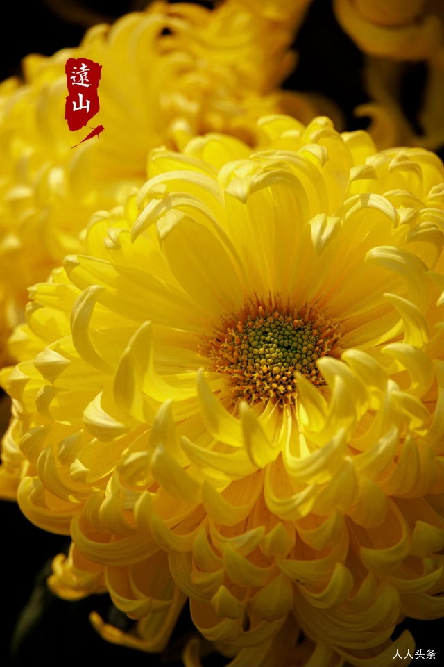 新闻简报：2022年11月16日，农历壬寅年十月廿三，星期三