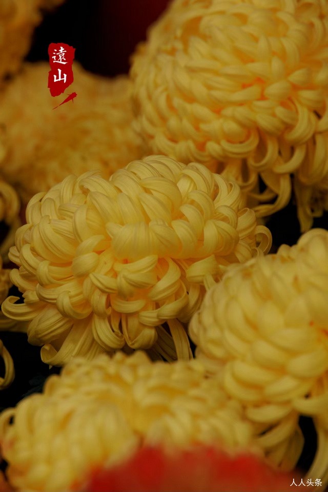 新闻简报：2022年11月16日，农历壬寅年十月廿三，星期三