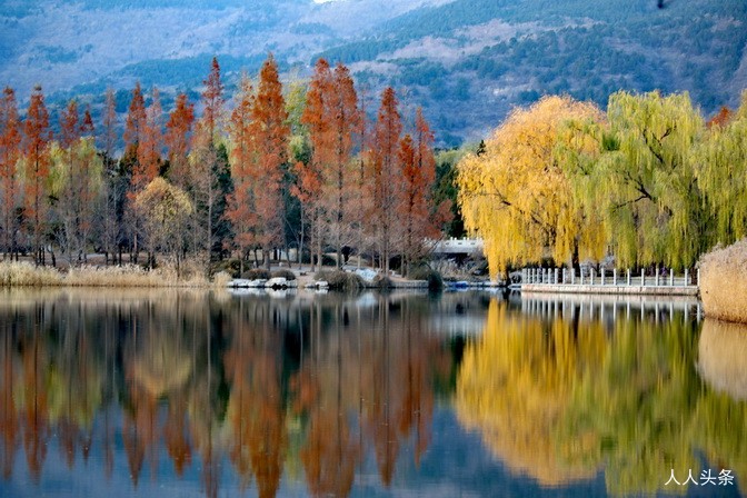 新闻简报：2022年11月21日，农历壬寅年十月廿八，星期一