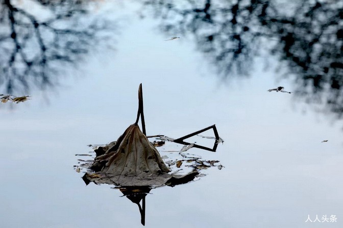 新闻简报：2022年11月21日，农历壬寅年十月廿八，星期一