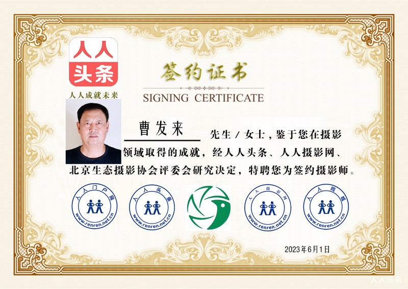 曹发来人人头条人人摄影网北京生态摄影协会摄影师签约证书.png