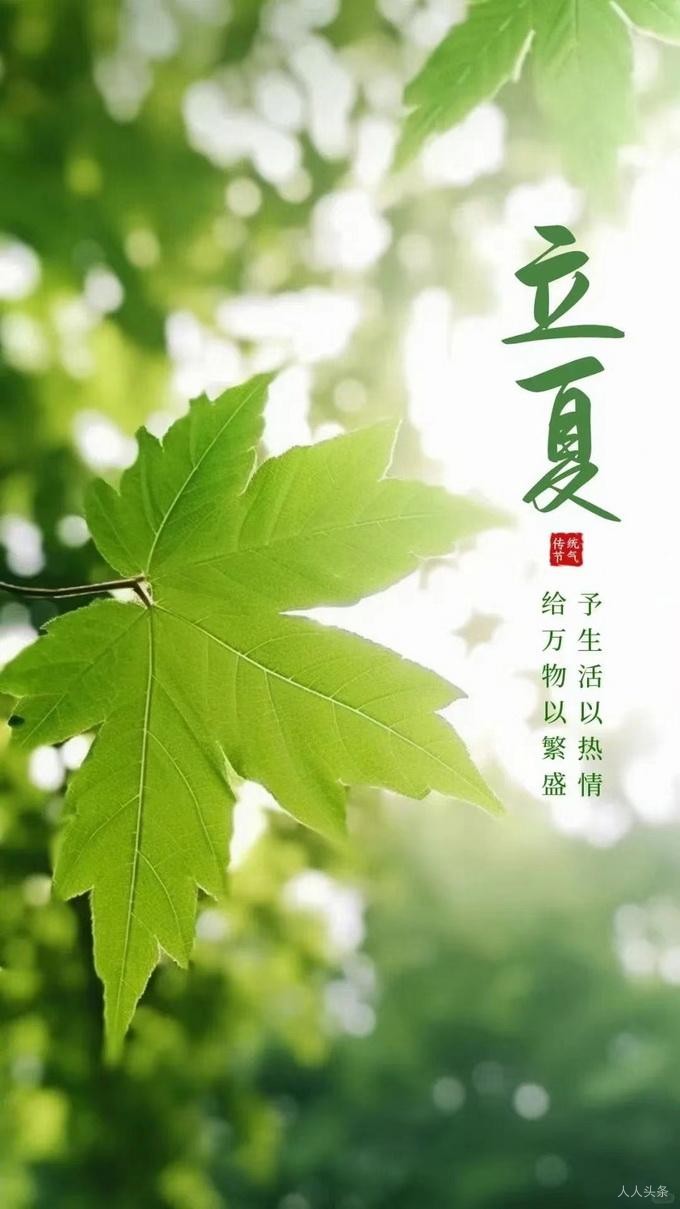《立夏：万物并秀时》