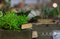   宝钗为什么不为自己辩解 韩雪丽 联系电话微信号13832195808 贾母带刘姥姥逛大观园，真正