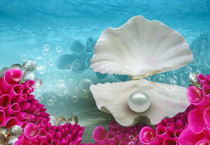 海底珍珠3.png
