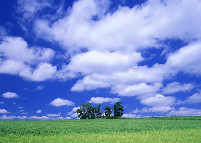 %5Bwallcoo.com%5D_sky_AP23097.jpg
