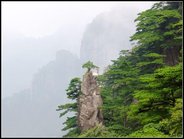 诗朗诵：心中的山