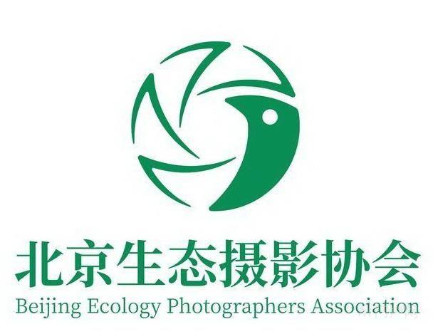 组织生态协会会员集中开展采风拍摄通知