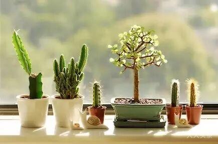 人这一辈子，有个知己，有个窝，有个伴，有点钱...