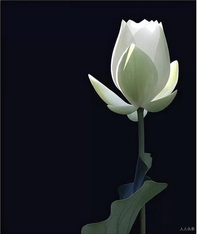 你是谁,就会与谁同坐