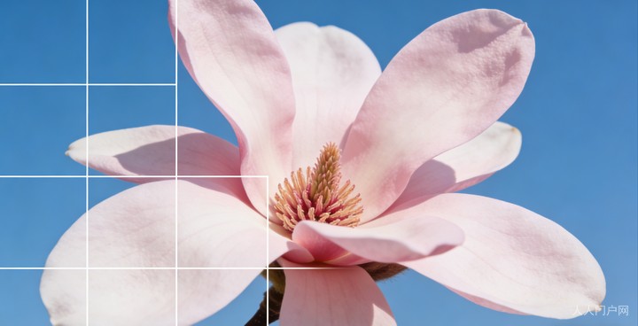 39ffdbd05ffeeb97315aaa40fa53bc3a_get_code=NzkwNTBkNWE1NmM1NTcxMDgxYmU3OTg0MzlhODE2NzIsMTc3NDE5ODE1NzMwNw==.png