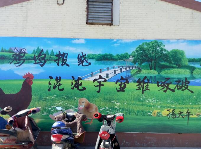 参观河北保定大午育鸡场