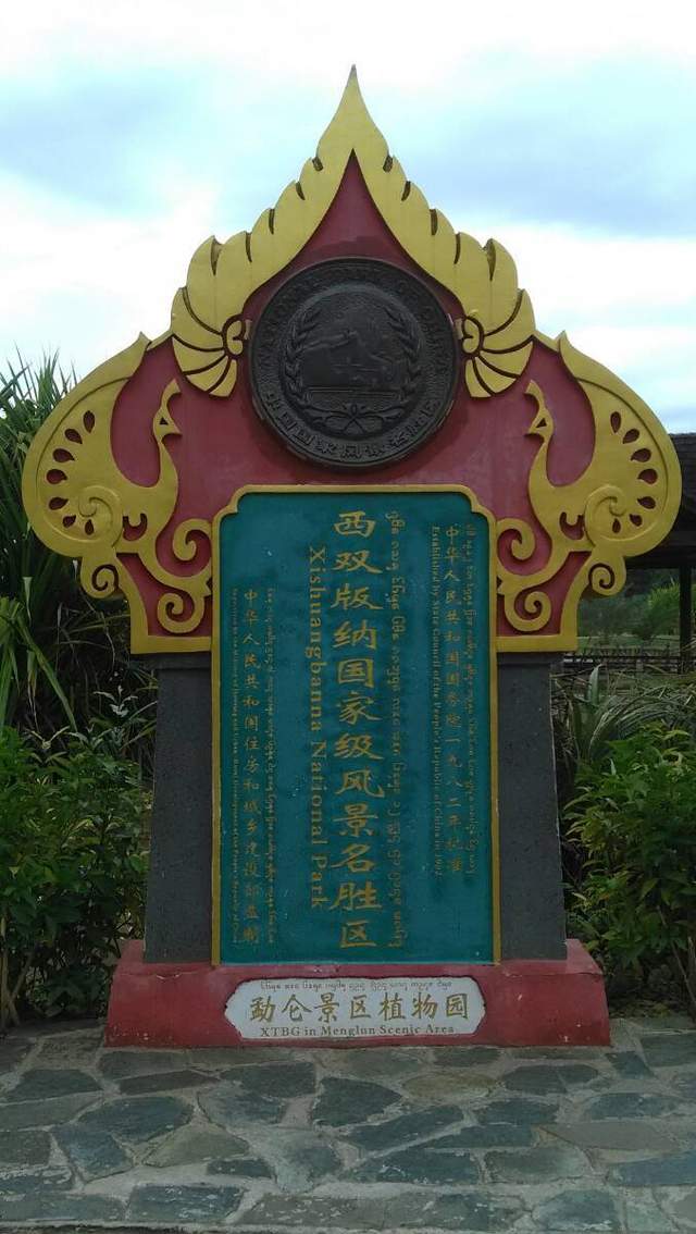 南行记：西双版纳热带植物园（2）