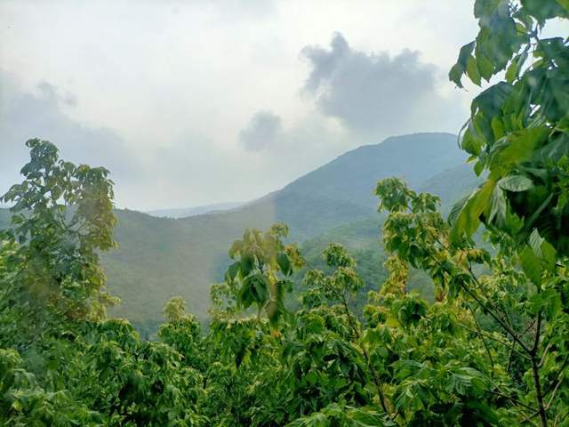 西马休闲农场，京白梨原产地