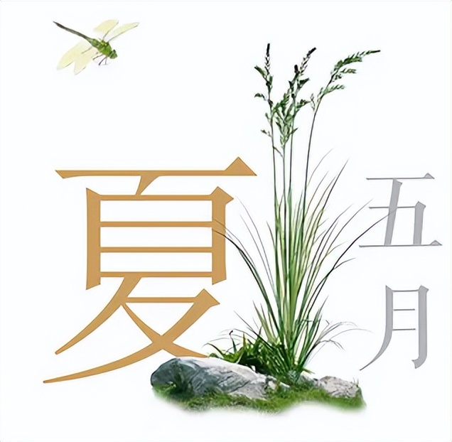 芒种之美 | 播种希望，收获幸福！