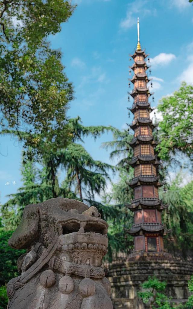 “秋日成都：金色银杏与粉色浪漫，10大必游景！”