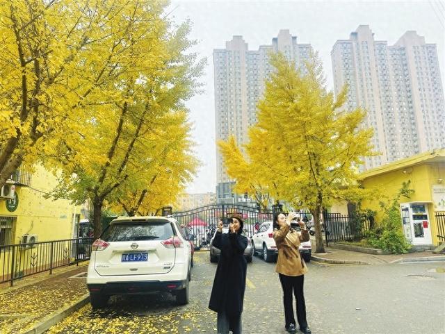 推窗是景 移步遇园 抬头见蓝 太原市民赞叹家门口越来越美