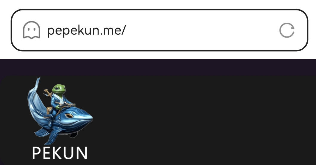 继承PEPE文化基因：PEKUN—— 打造全新meme生态应用系统