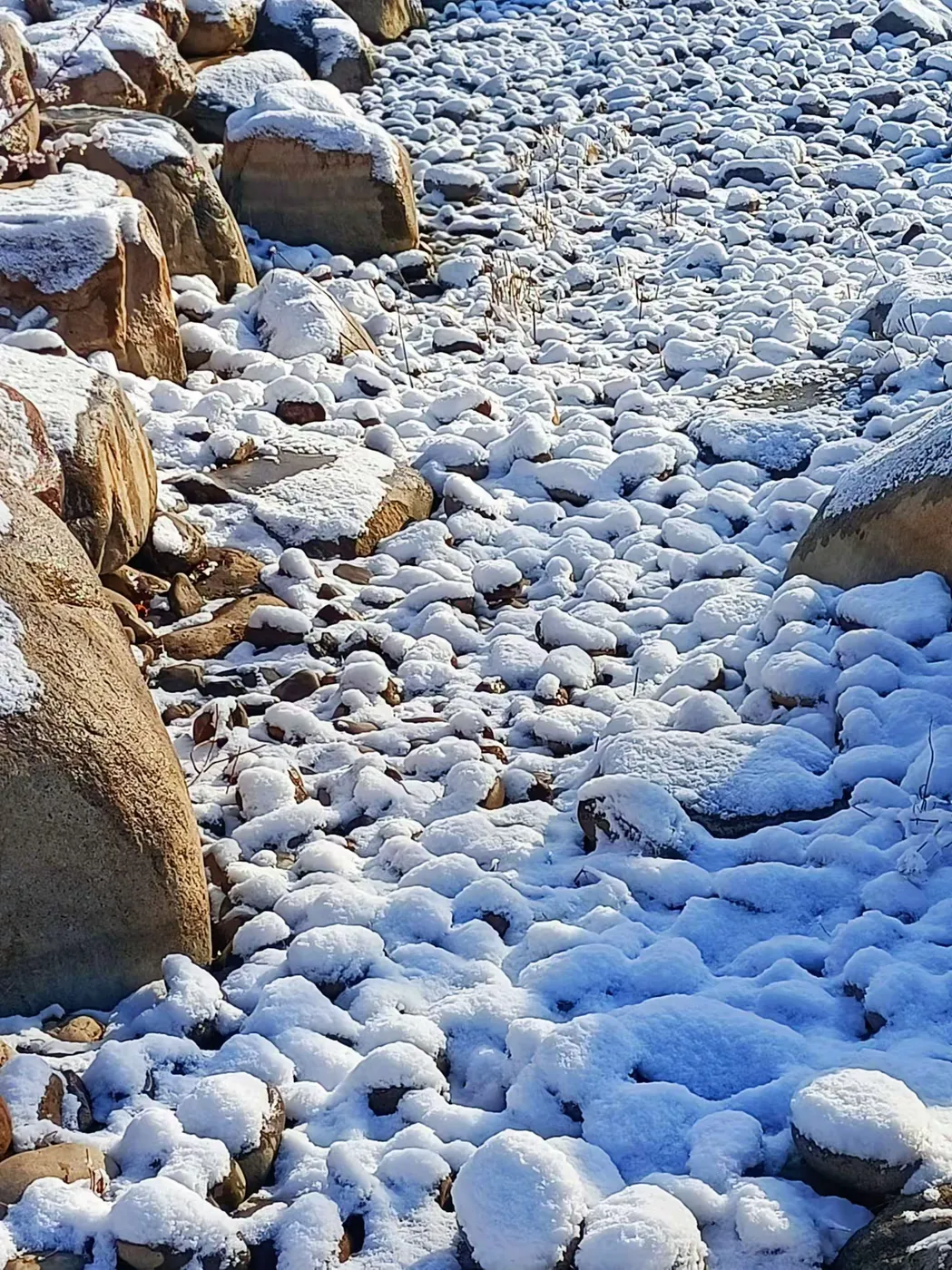 王博生原创小说《相思鸟》（4）第四章 来信