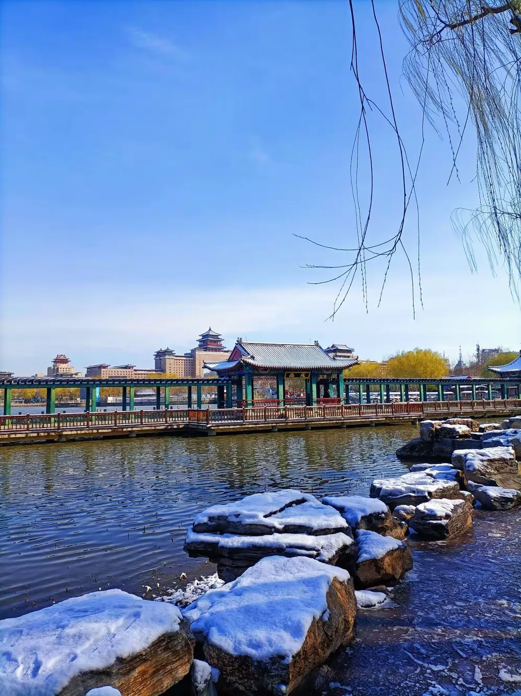 王博生原创小说《相思鸟》（3）第三章 情离