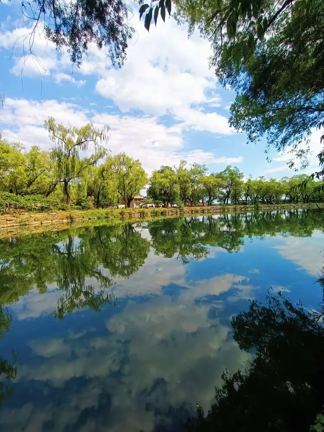 王博生原创小说《春去春又归》（8）