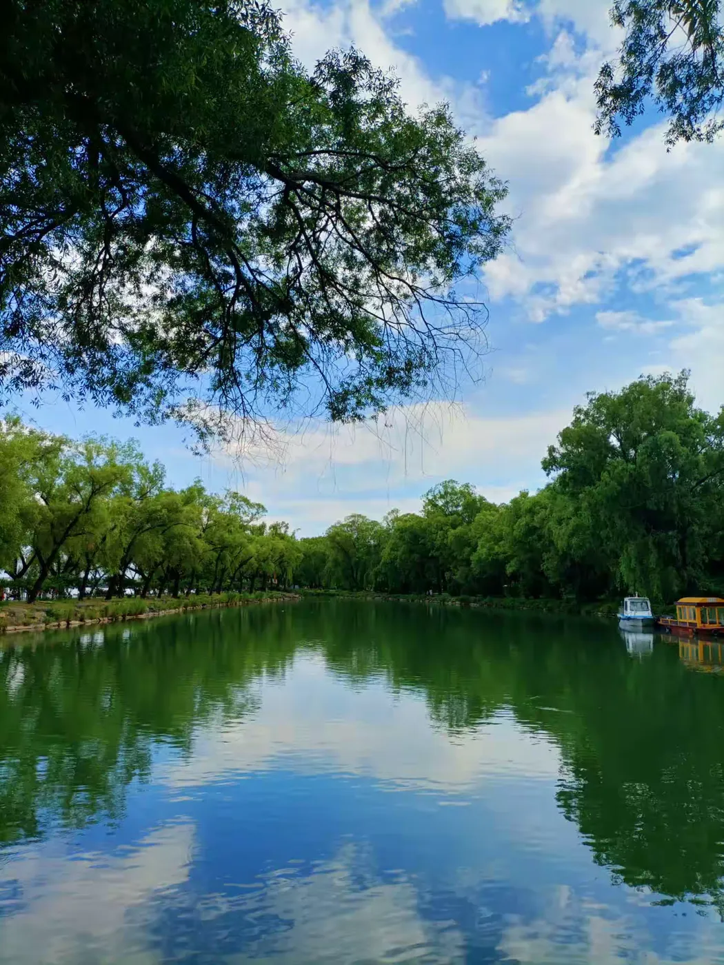 王博生原创小说《春去春又归》（10）