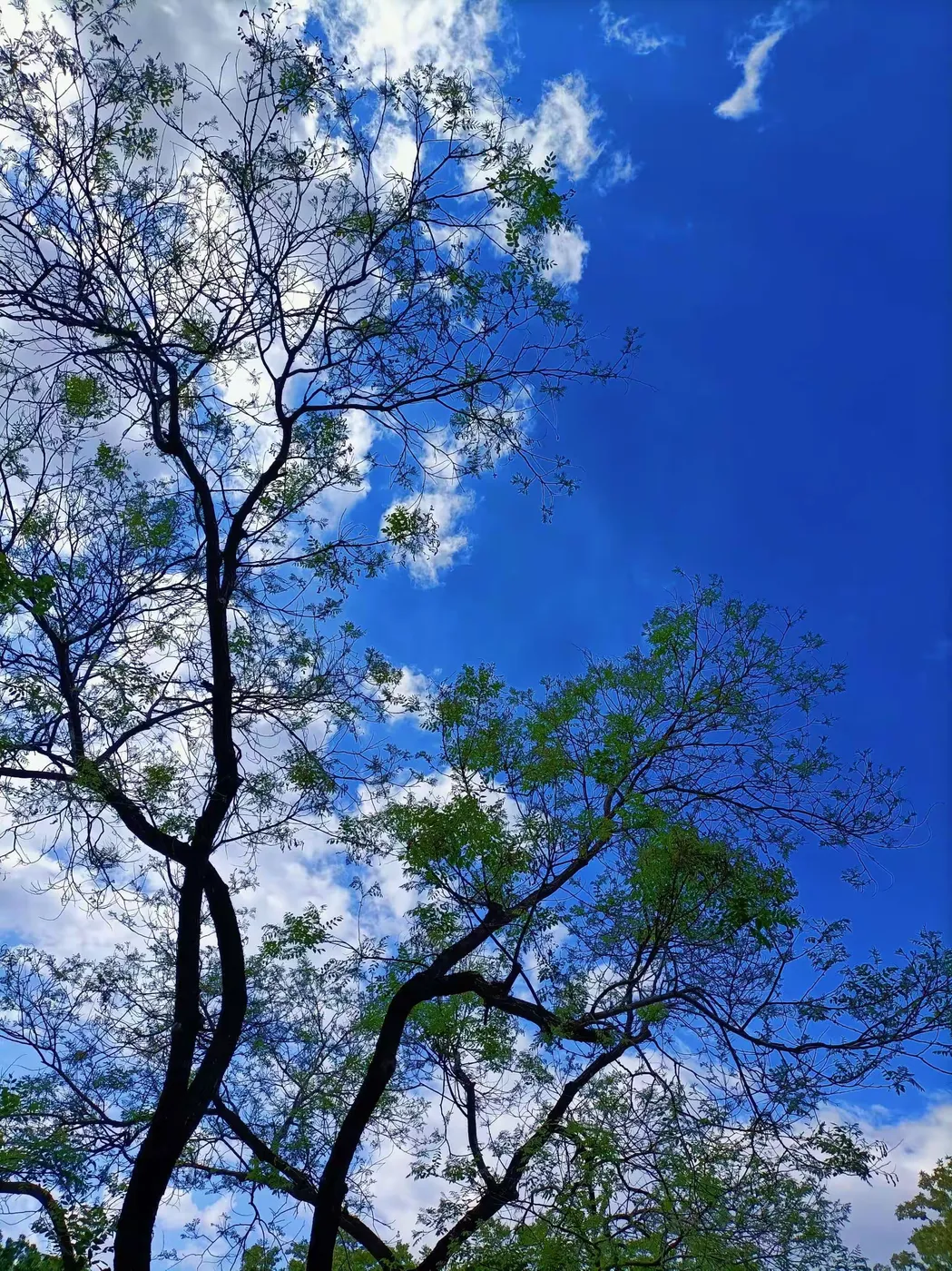 王博生原创小说《春去春又归》（14）