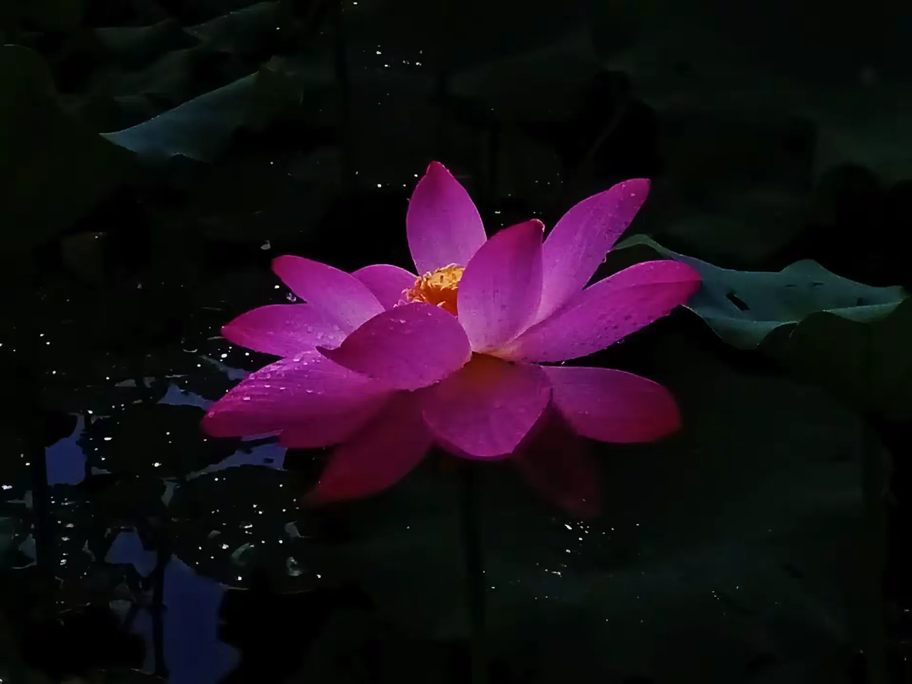 王博生原创童话小说：磕头虫书海遨游历险记（2）