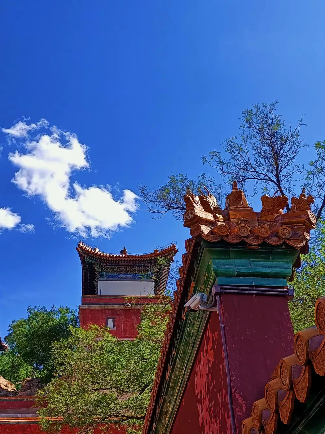 王博生原创小说：王老五（5）大款王老五