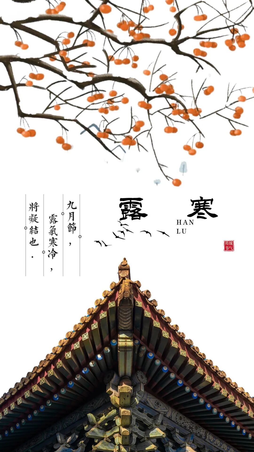 今日寒露：萧萧秋意，暖暖添衣