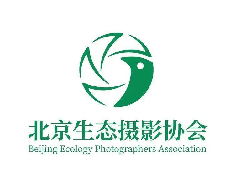 2025北京生态摄影艺术展荷花主题摄影网展征稿启事