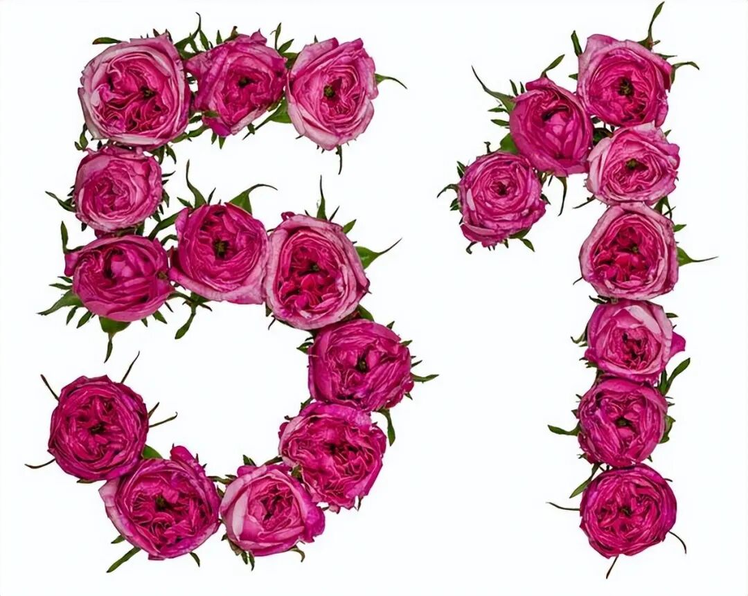 韩雪丽    春水深——不要指望别人，要靠自己  唐滔看了眼乔亭，去乔园，