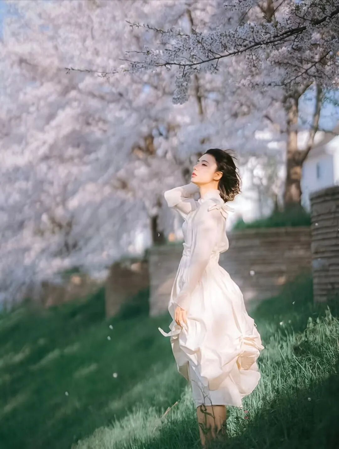 樱花人像