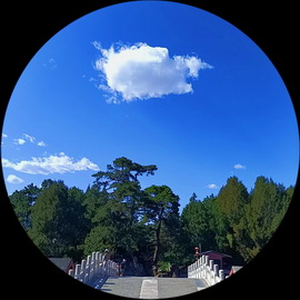 白马踏星河
