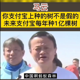 马云：你支付宝上种的树不是假的，未来支付宝每年种1亿棵树