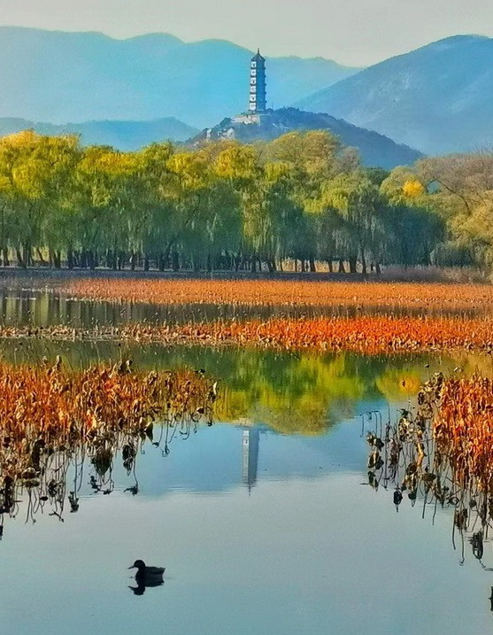 邵建国生态摄影欣赏：北京的秋天（北京生态摄影协会会员）
