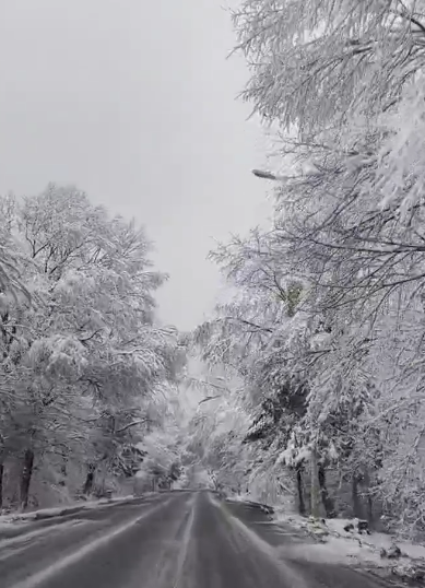  最美的冬天在路上 