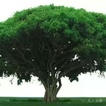 每每缀文
