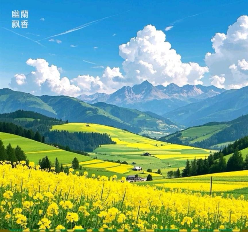 叶芸秀《油菜花香飘四方》