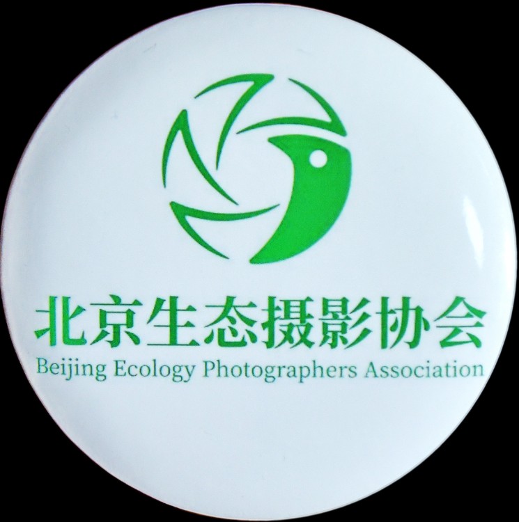 北京生态摄影协会户外摄影活动