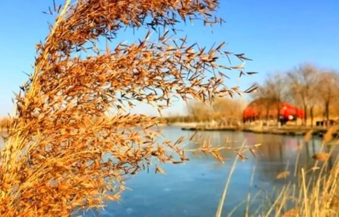 免费！在北京您或许听说过，却还未去过这个处处充满艺术气息的公园！