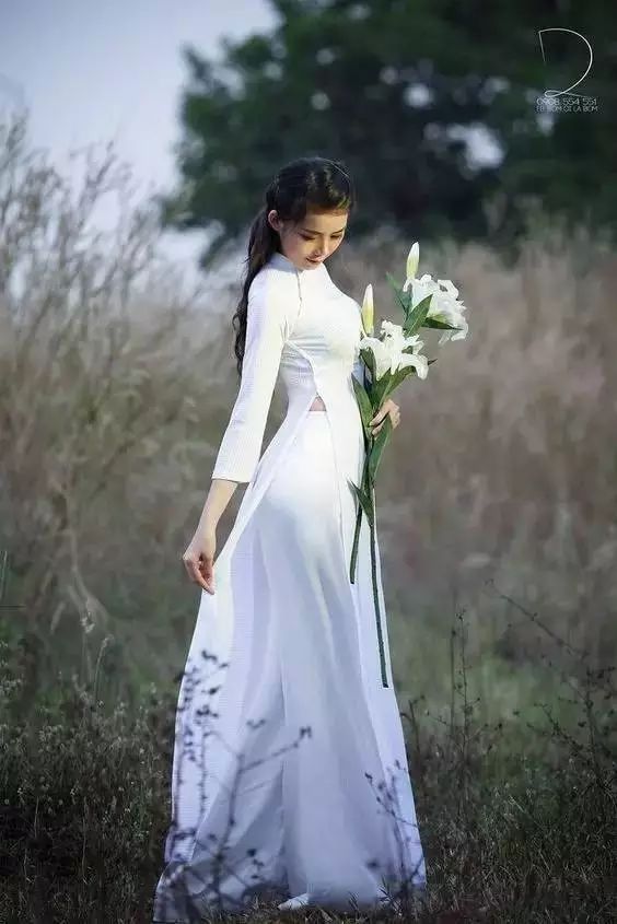 越南旗袍美女，太惊艳！