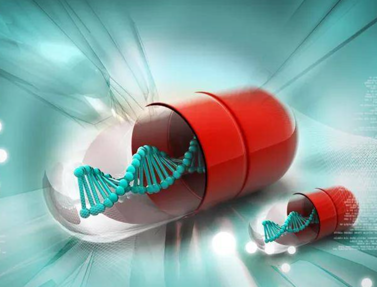 新闻简报：2022年11月12日，农历壬寅年十月十九，星期六