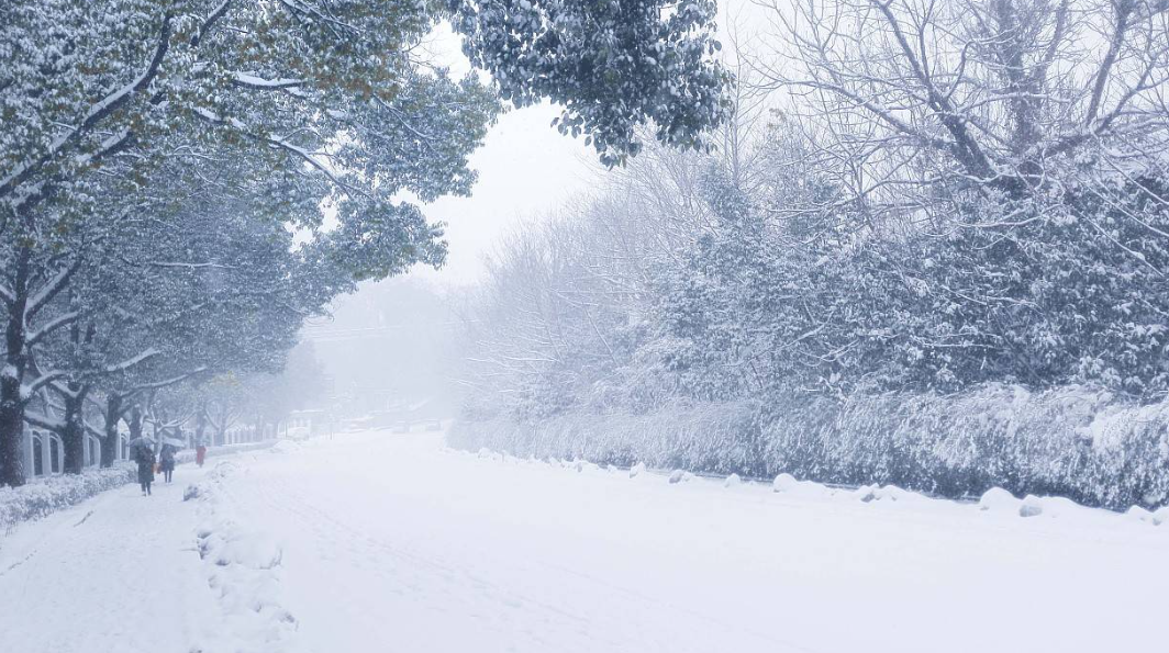 新闻简报：2022年11月12日，农历壬寅年十月十九，星期六