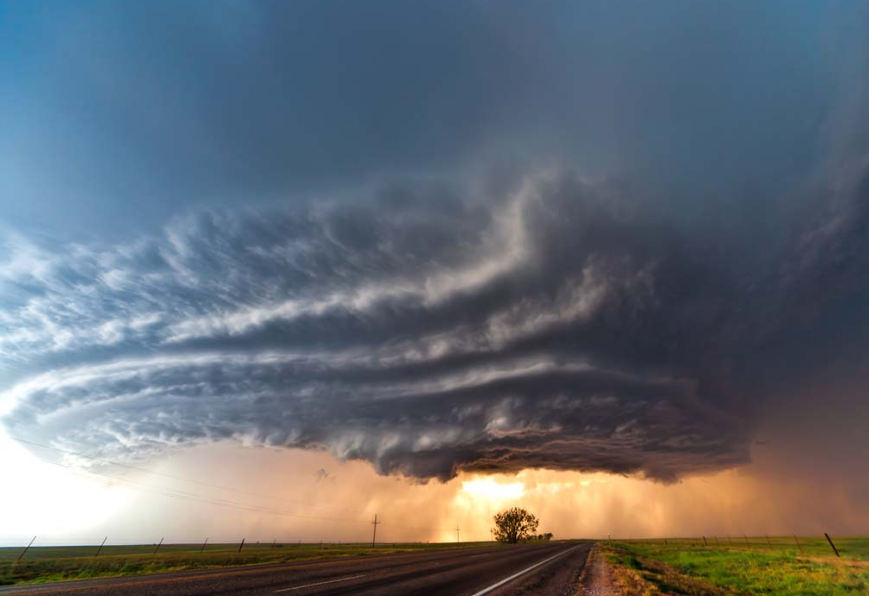 新闻简报：2022年12月3日，农历壬寅年冬月初十，星期六