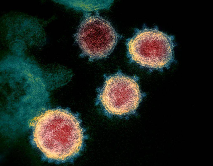 新闻简报：2022年12月21日，农历壬寅年冬月二十八，星期三