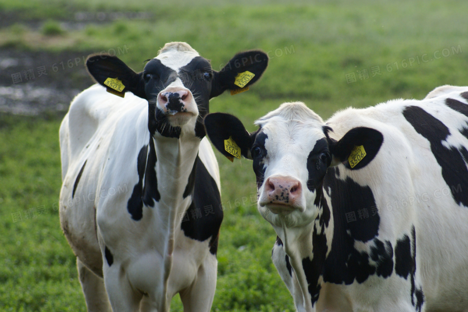 新闻简报：2023年1月8日，农历壬寅年腊月十七，星期日